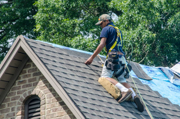 Professional Roofing Contractor in Snyderville, UT